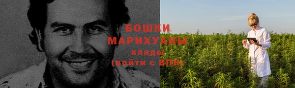 ПСИЛОЦИБИНОВЫЕ ГРИБЫ Беломорск