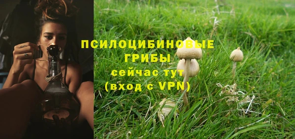 ПСИЛОЦИБИНОВЫЕ ГРИБЫ Беломорск