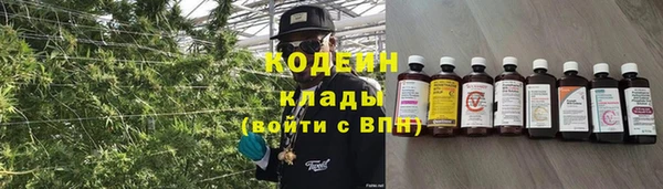 ПСИЛОЦИБИНОВЫЕ ГРИБЫ Беломорск
